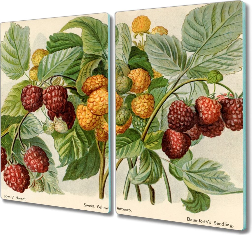 Coloray Schneidebrett Herdabdeckplatte 2x30x52 cm Kochplattenabdeckung Hackbrett Küchenbrett - Früchte Beeren