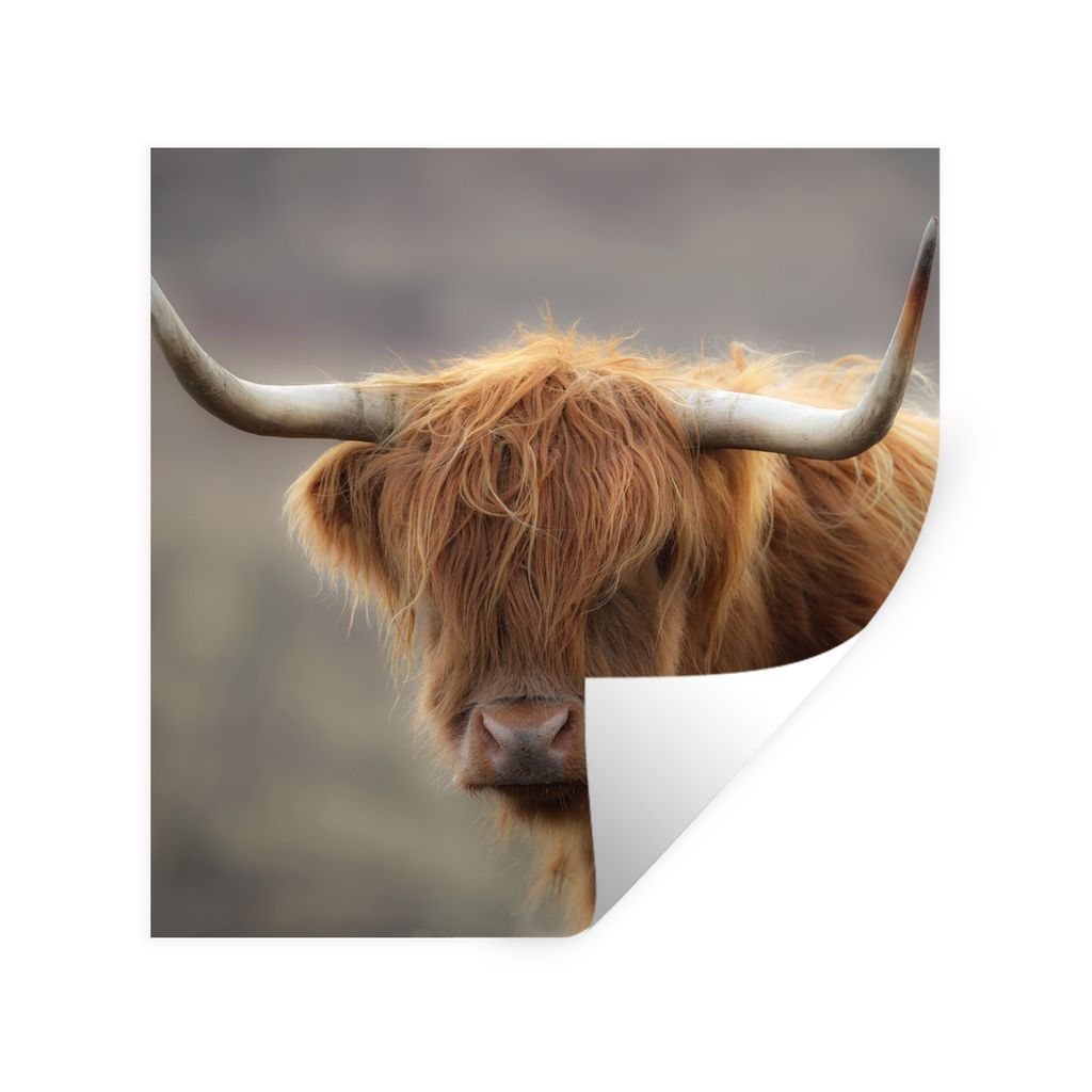 MuchoWow Wandtattoo Wandsticker Wandaufkleber Schottischer Highlander - Hörner - Haare 50x50 cm Selbstklebend und Repositionierbar - Selbstklebe...
