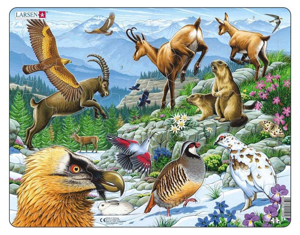 Larsen Maxi LA-FH12, 55 Stück(e), Flora & Fauna, 6 Jahr(e)