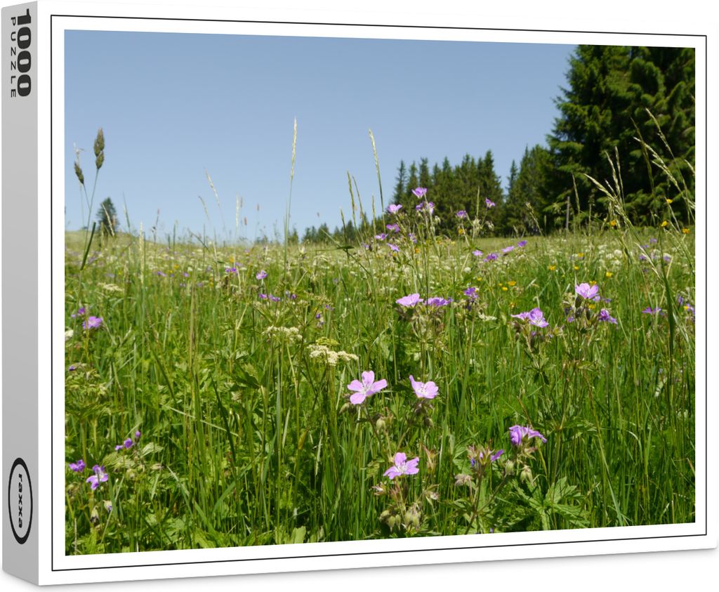 raxxa Premium-Puzzle "Blumenwiese mit Storchschnabel", 1000 Teile