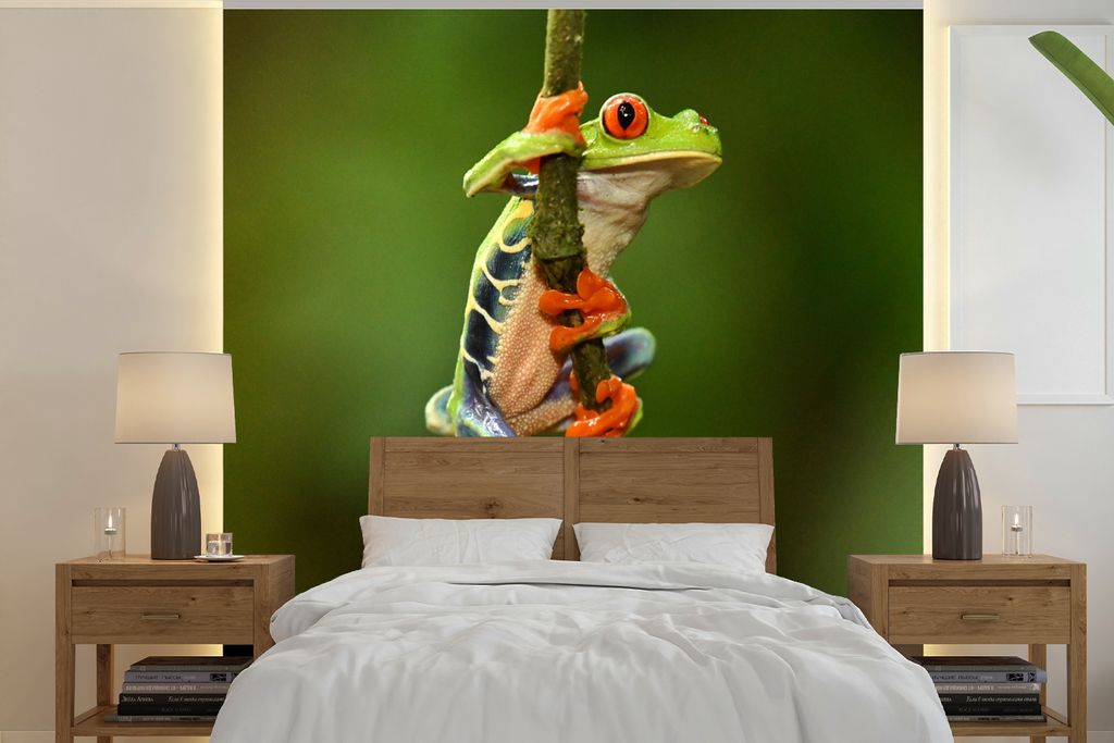 MuchoWow Fototapete für Wohnzimmer oder Schlafzimmer Wandtapete Vinyl Motivtapete Rotaugenlaubfrosch im Dschungel - 350x350 cm - Schlafzimmertapete