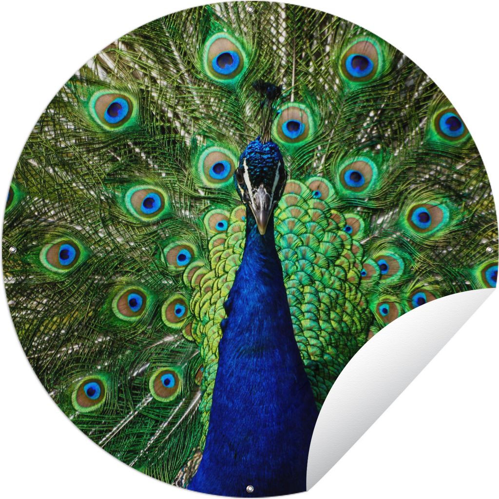 MuchoWow Gartenposter Outdoor-Poster Rund Pfau - Federn - Augen Ø 120 cm Gartendeko Rundes Poster draußen