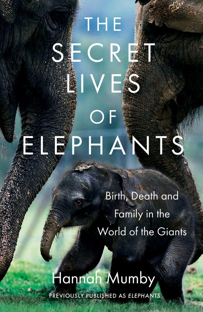 Secret Lives Of Elephants – Lingua: Inglese