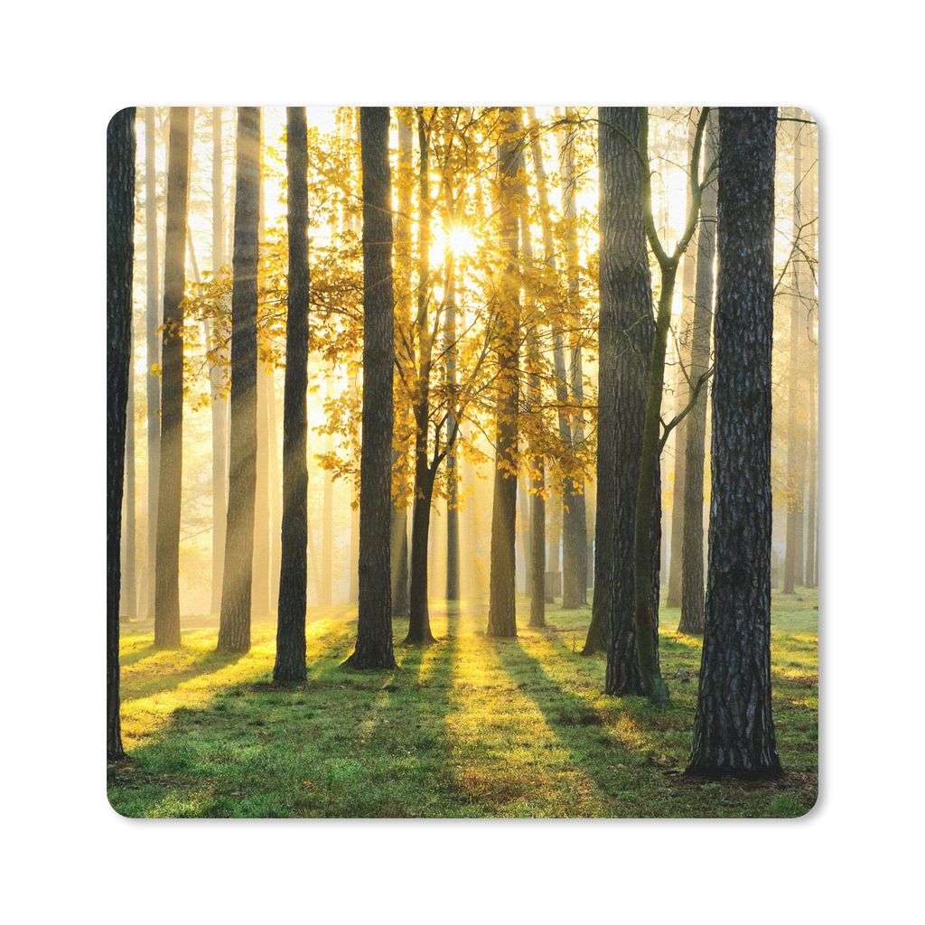 MuchoWow Mauspad Mousepad Wald - Sonne - Bäume - Gras - Landschaft - Natur 30x30 cm - Mousepads - Maus Mat - Pad - Mausunterlage - Gaming