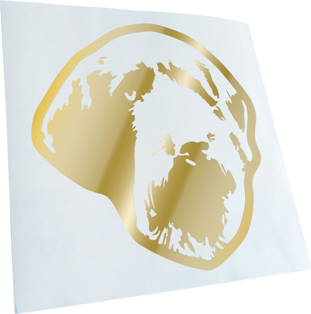 Kiwistar - Autoaufkleber - wirehaired pointing griffon Hund - Goldchrom - 50x45cm - Aufkleber für Auto, Laptop, Fahrrad, LKW, Motorrad mehrfarbig ...