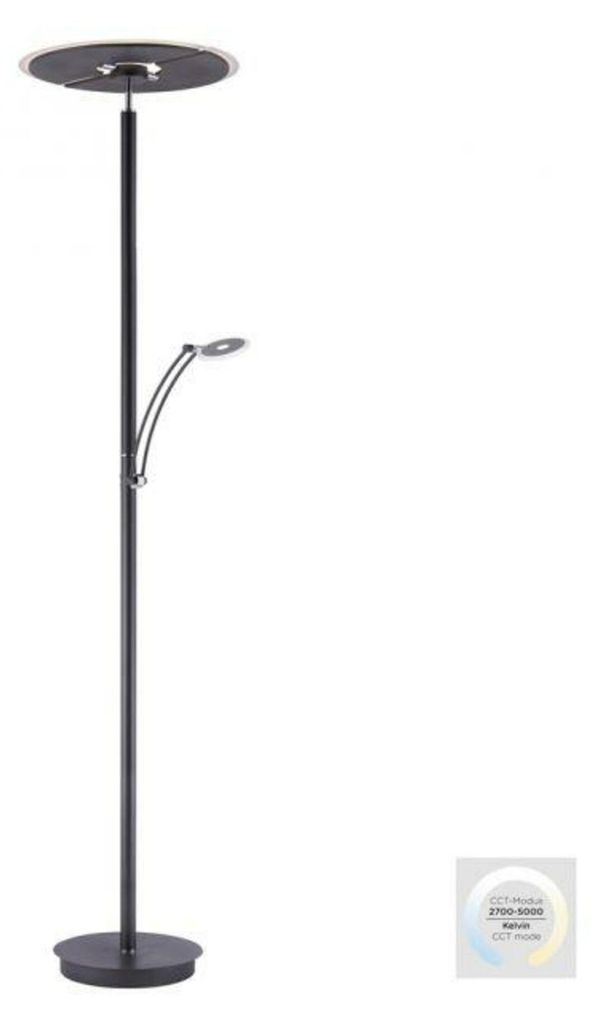 PAUL NEUHAUS LED-Stehleuchte anthrazit, dimmbar, Farbtemperatur-Speicherfunktion 2700-5000K, Artikelnummer 673-13