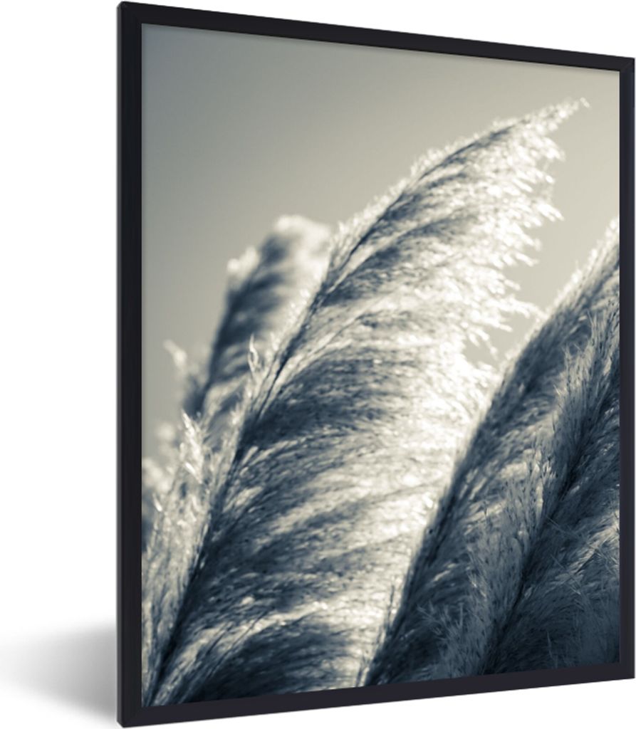 MuchoWow Gerahmtes Poster Pampasgras - Schwarz - Weiß - Natur 30x40 cm - Poster mit Schwarzem Bilderrahmen Wandposter Rahmen Foto Bilder - Wandd...