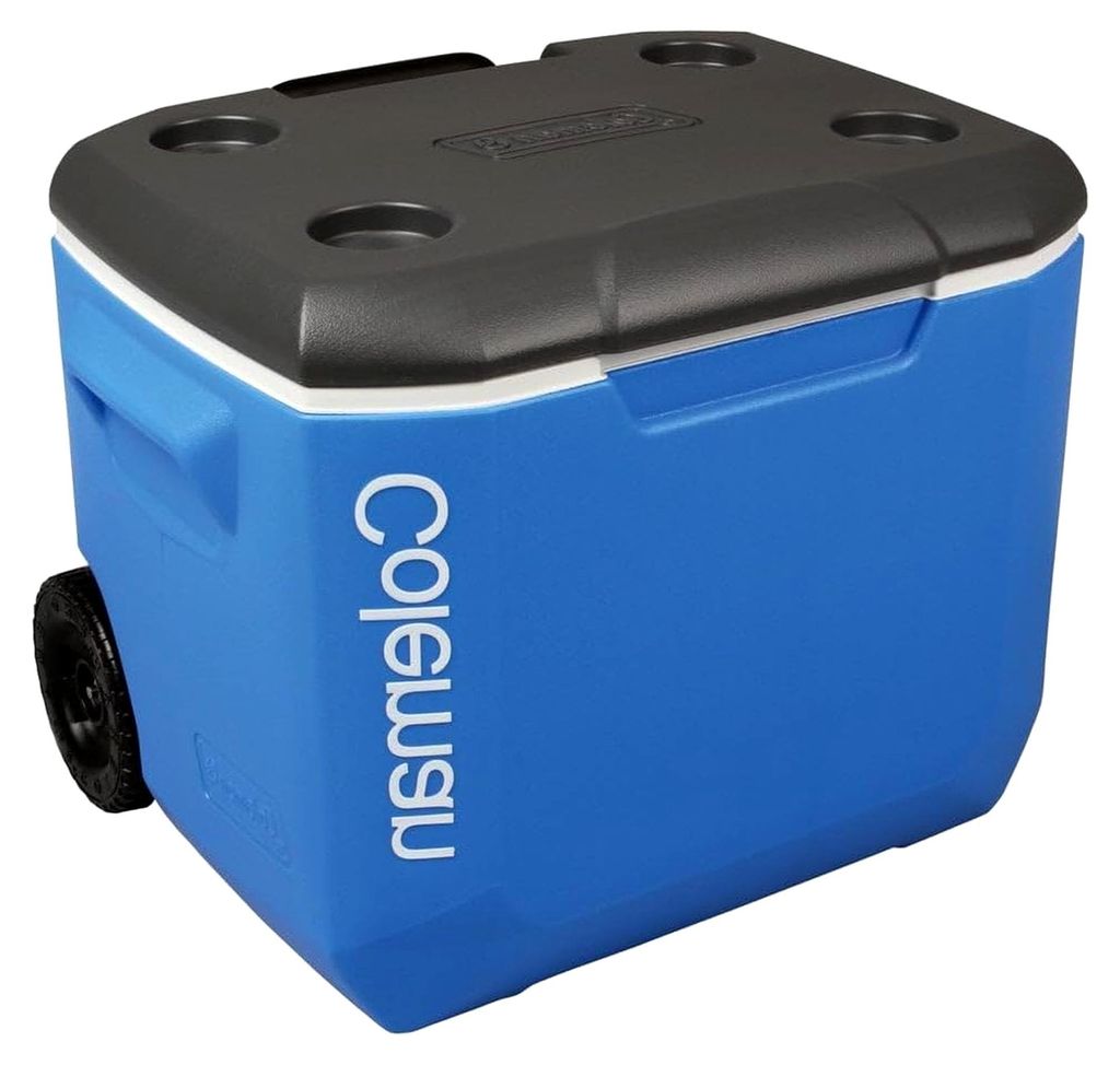 Kühlbox mit hoher Leistung | Passive Eisbox mit PolyurethanVollschaumisolierung | hält mehrere Tage kühl | Mobile Kühlbox | ideal für Camping,...