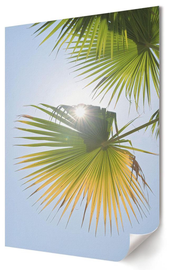 Tropische Palmen- Kunstdruck A1 (59x84 cm) - Klassisch, Modern- Wandbild für Wohnzimmer Schlafzimmer & Flur, Modernes Poster Wanddeko, Ungerahmt