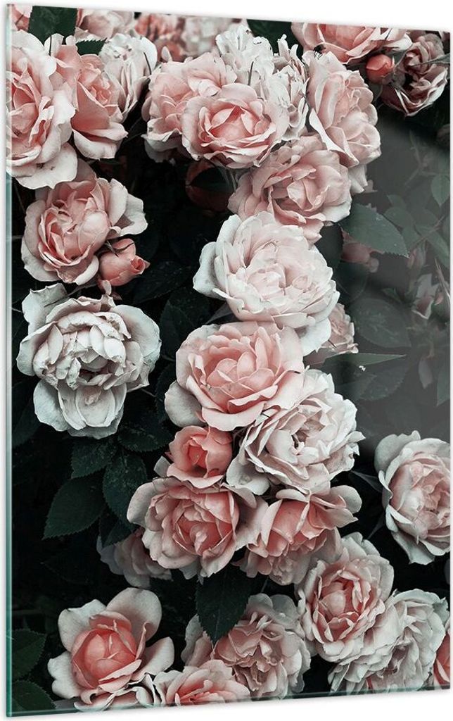 Bilder auf glas - Einteilig - Rosen Blumen Blätter - 50x70cm - Glasbilder - Wandbilder - Bilder - zum Aufhängen bereit - Wanddekoration aus Glas ...