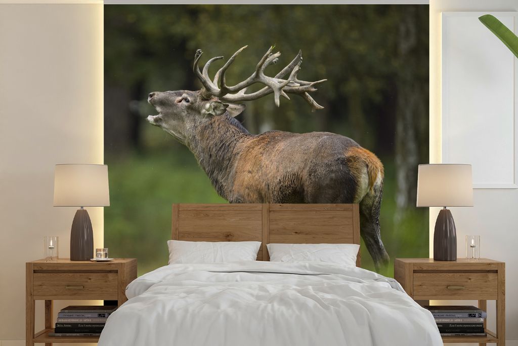 MuchoWow Fototapete für Wohnzimmer oder Schlafzimmer Wandtapete Vinyl Motivtapete Elch - Wald - Porträt - 350x350 cm - Schlafzimmertapete
