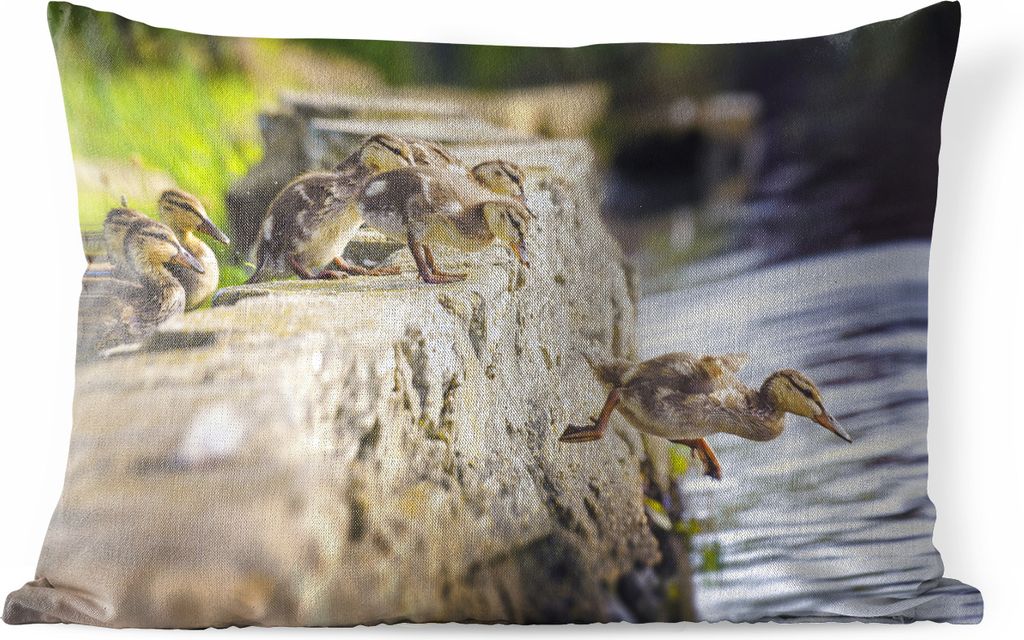 MuchoWow Outdoor Kissen - Enten - Steine - Küken - 60x40 cm - Wetterfest - Lounge Kissen - Zierkissen - Kissen für Innenräume