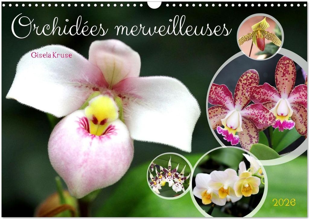 Orchidées merveilleuses (Calendrier mural 2026 DIN A3 vertical), CALVENDO calendrier mensuel