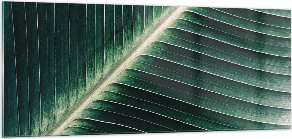 Bilder auf glas - Einteilig - Grün Blatt Tropisch - Produktbild 