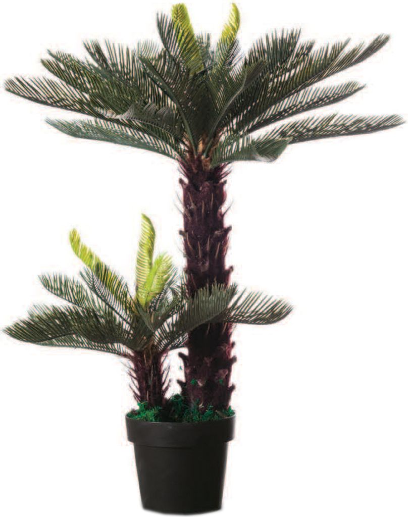 PAPERFLOW Kunstpflanze "Cycas" Höhe 800 mm