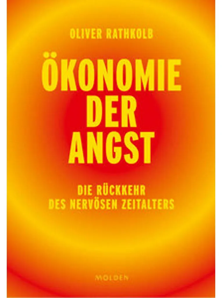 Économie de l'angoisse : Manuel de réflexion sur les risques systémiques