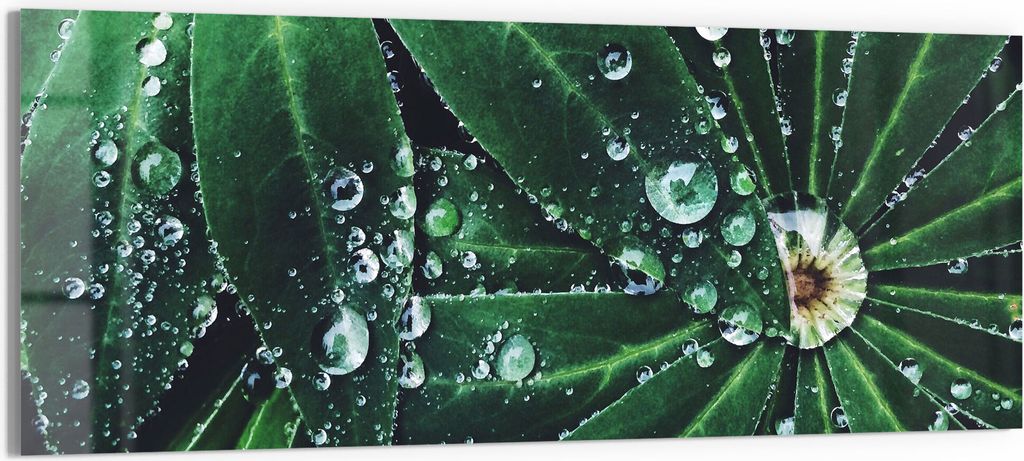 DEQORI Glasbild Echtglas 150x60 cm 'Wasserperlenverzierung' Wandbild Bild modern Deko
