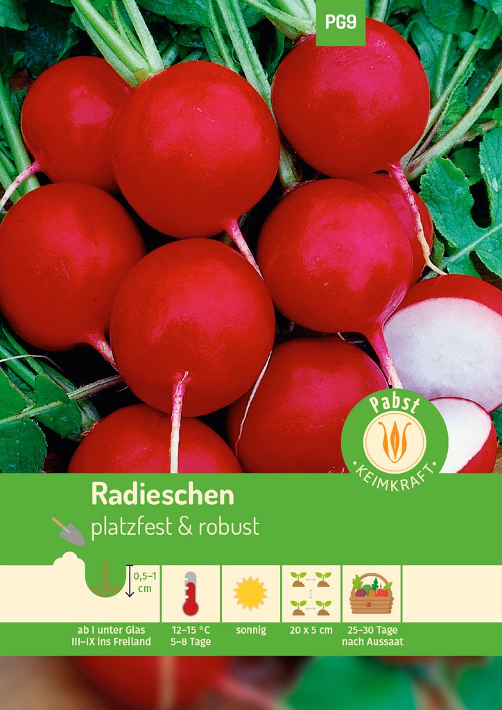 Radieschen Celesta F1 | Radieschensamen von Carl Pabst