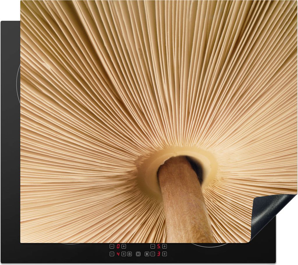 KitchenYeah Herdabdeckplatte Spuren eines Pilzes , 58x51cm, Küche Deko, Glaskeramikfeld Herdabdeckung, Abdeckplatte fùr Kochfeld