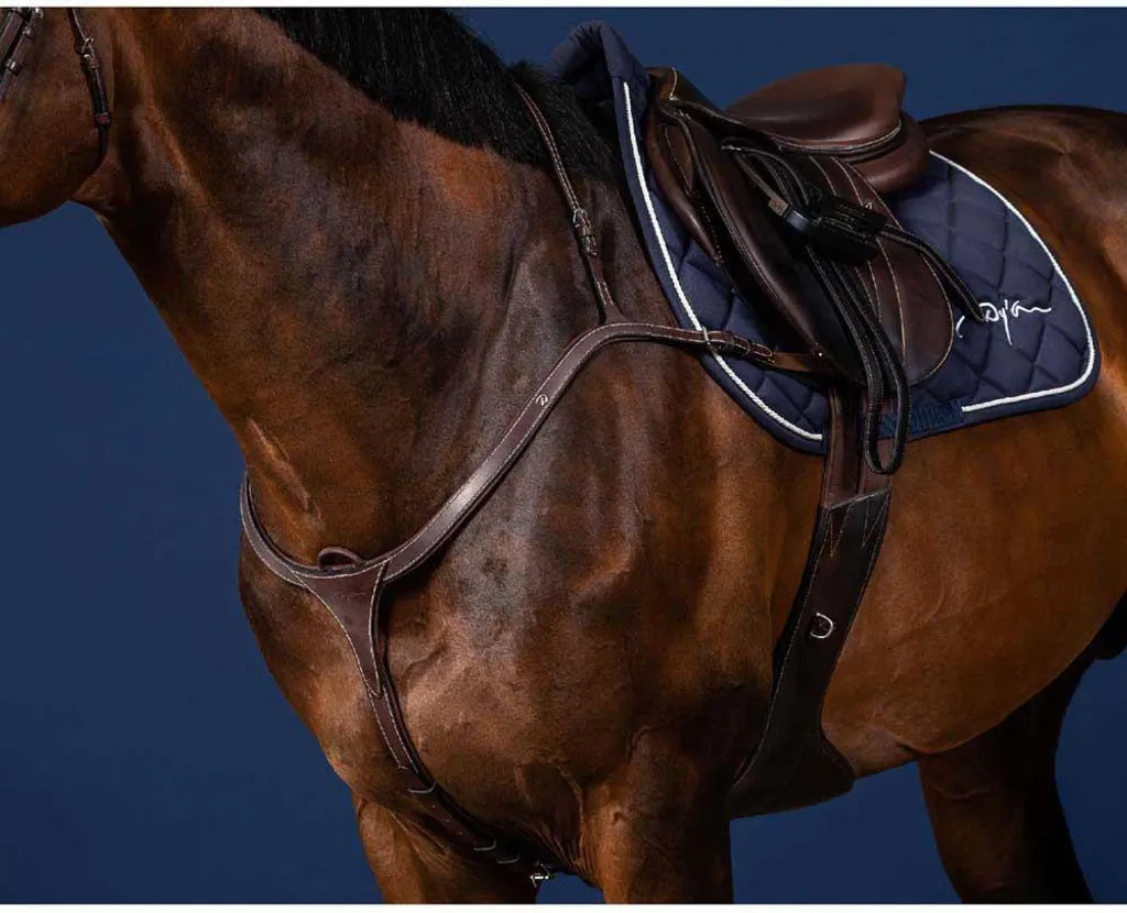 Collier de chasse en cuir Dyon US Collection pont long marron taille Cob