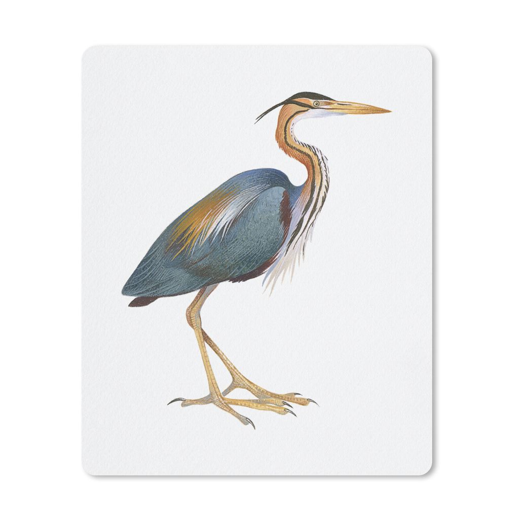 MuchoWow® Mauspad Mousepad Vogel - Federn - Aquarell 30x40 Produktbild 