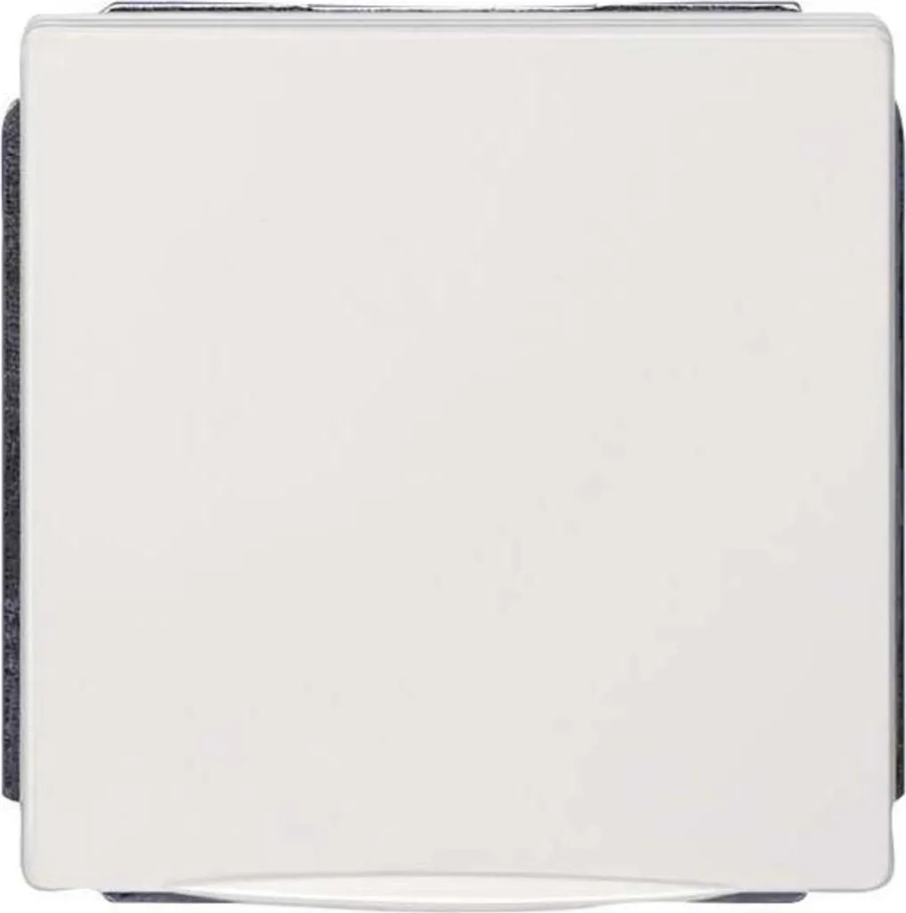 Prise murale Schuko Delta Style 5UB1852 pour salon et bureau moderne