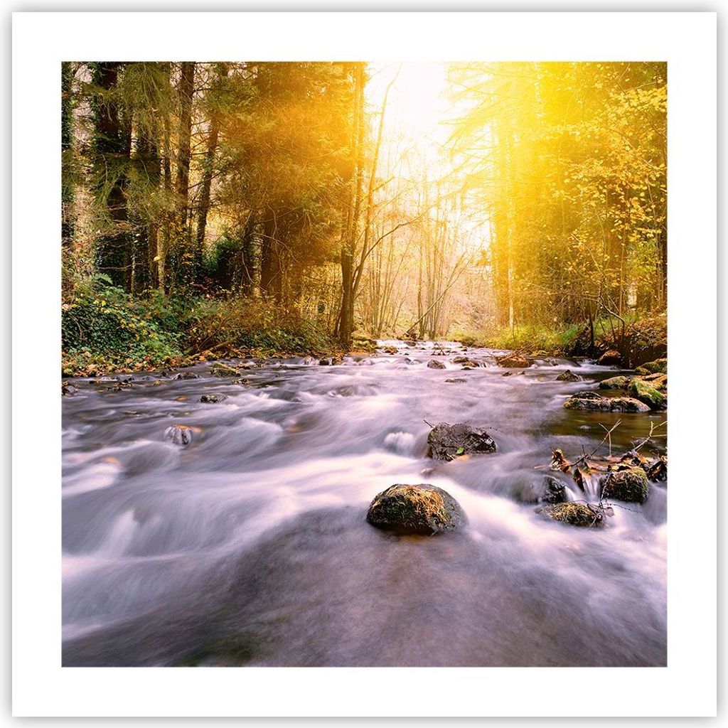 Poster - Poster ohne Rahmen - Herbst Wald Berg Fluss - 50x50 cm - Wand Bild - Wanddeko - Wandbilder - Kunstposter - Wandposter - Bilder - Kunstdruc...