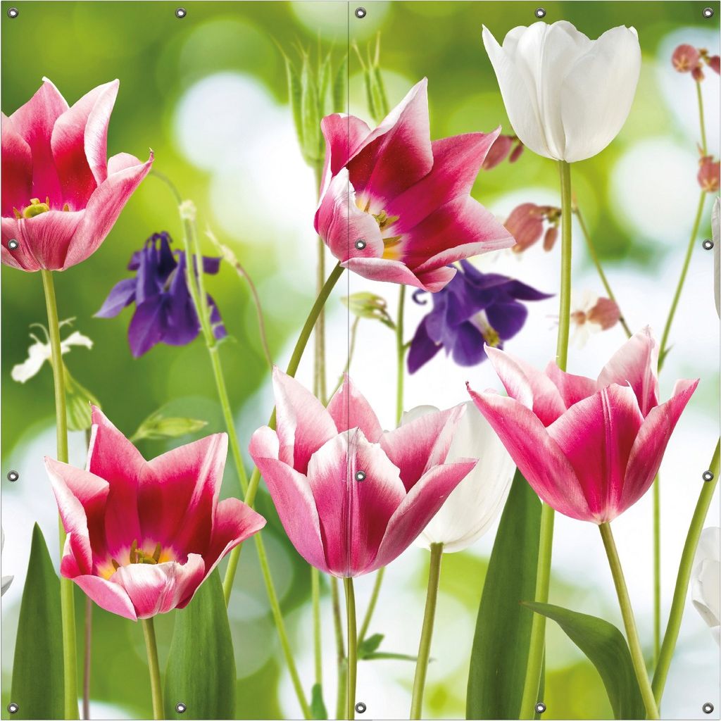 Wallario Outdoor-Poster für Garten oder Balkon, Motiv Blühende Blumen im Frühling in pink und weiß, in ca. 180 x 180 cm