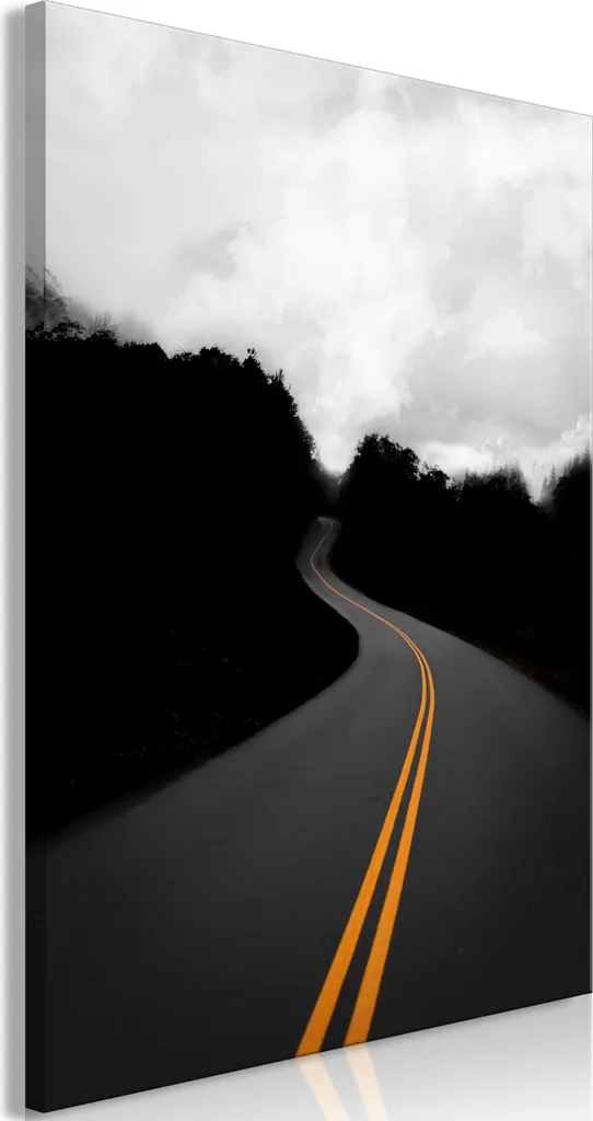 Quadro su tela Sentiero tra gli Alberi Bianco e Nero 80x120 cm Online