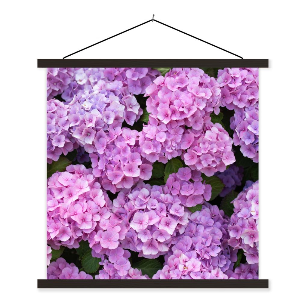 MuchoWow Textilposter Blumen - Hortensie - Strauch - Rosa - Blütenblätter 40x40 cm mit schwarzem Rahmen - Fotos