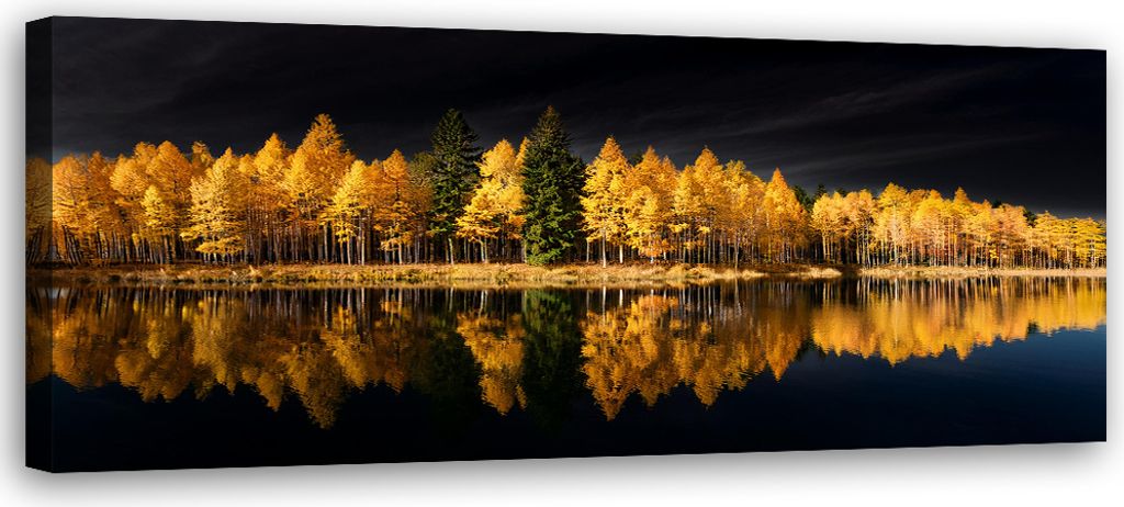 Leinwandbild Landschaft Wald Natur Gold 150x50 Feeby Gelb bild für die wand bereit zum aufhängen