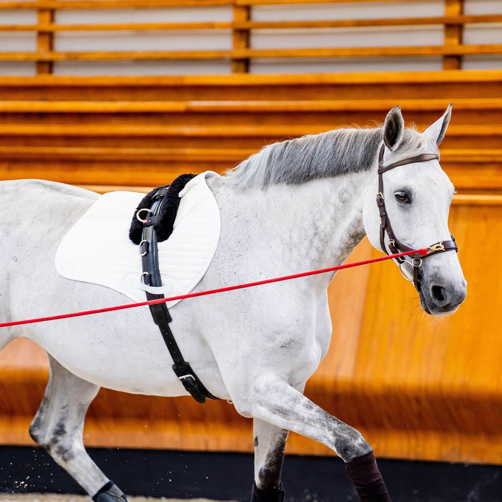 Uzdečka Horseware Micklem II Multi, velikost:Thoroughbred, Obrázek produktu 10