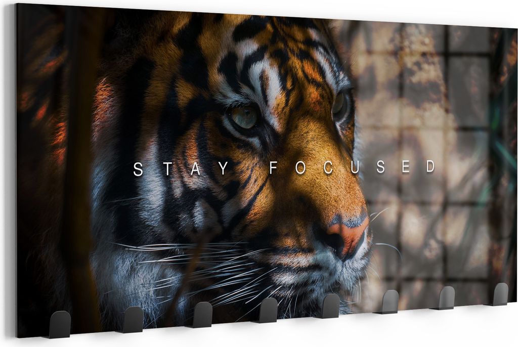 DEQOART Kleiderhaken Glas 60x30 cm 'Fokus des Raubtiers' Wand Garderobe beschreibbar Paneel