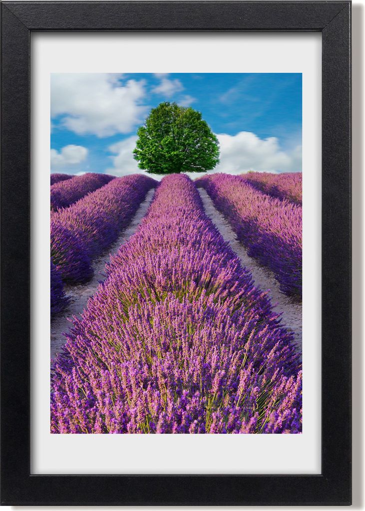 Bild 20x30 MDF-Rahmen, Wandkunst Lavendelfeld
