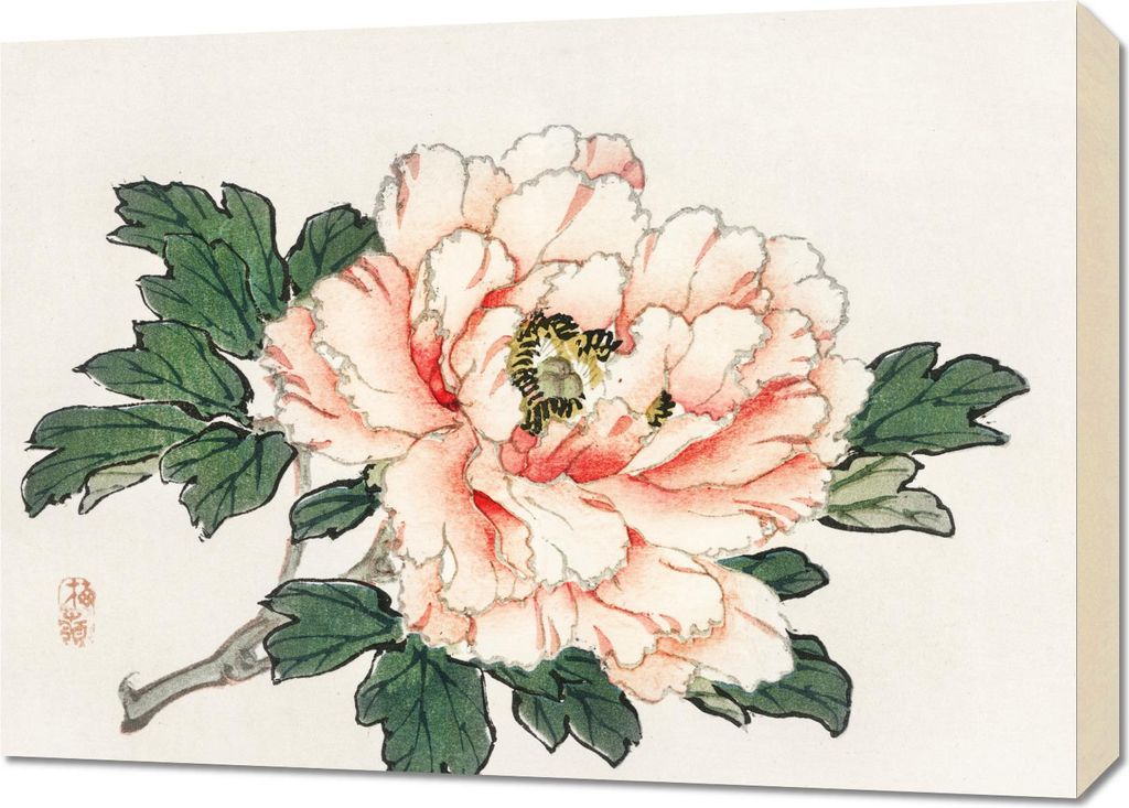 Bild 70x50cm Pink Rose, Kōno Bairei Japanischer Vintage für das Wohnzimmer