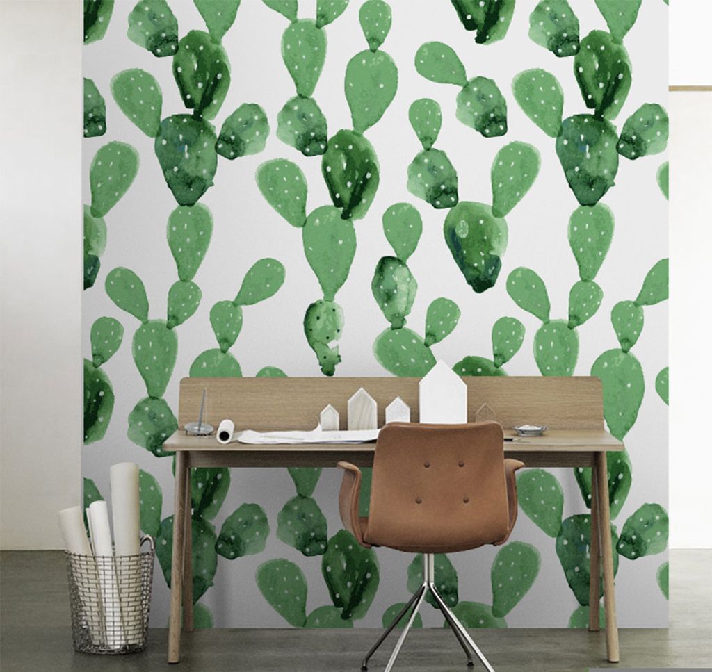 Coloray Fototapete 290x290 cm Latextapete Magicstick - Opuntia Cactus Cacti-Anlage