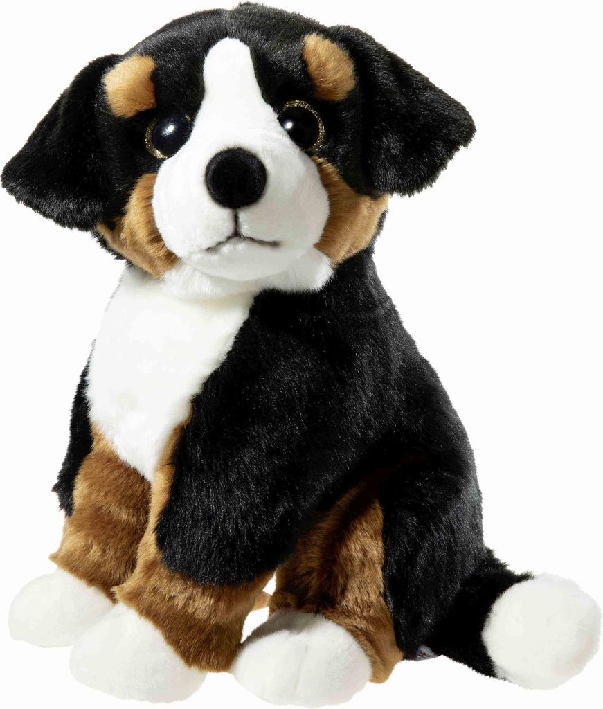 ALPENWELT Sennehund Produktbild 