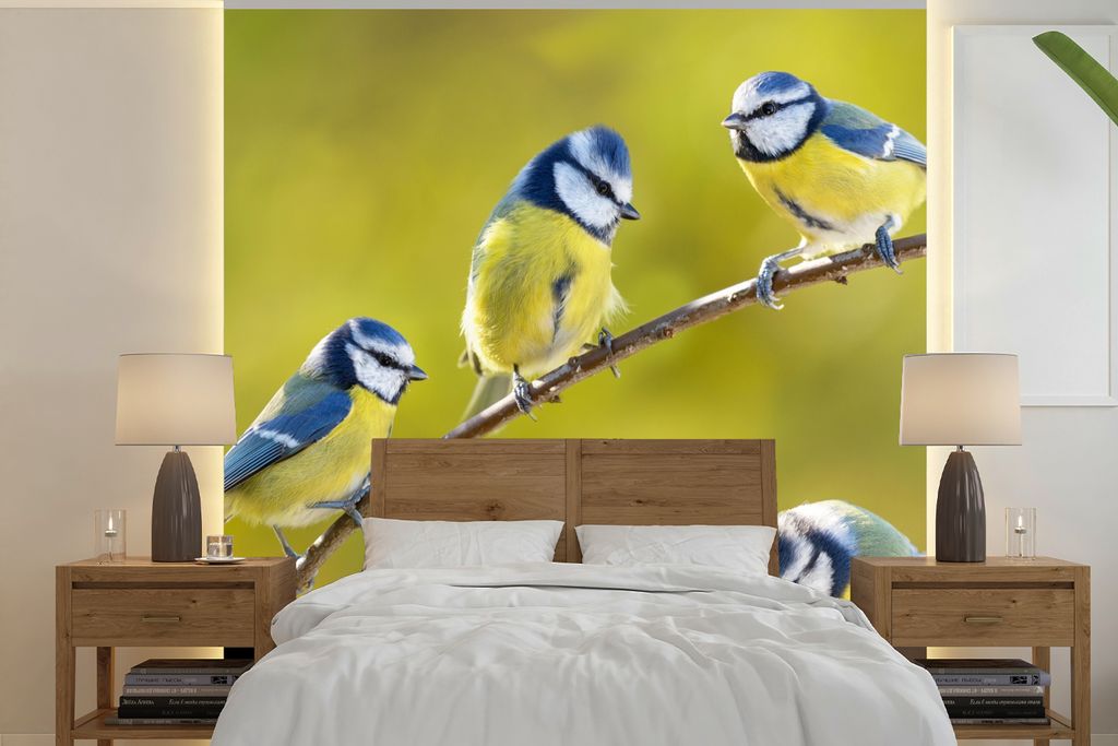 MuchoWow Fototapete für Wohnzimmer oder Schlafzimmer Wandtapete Vinyl Motivtapete Vogel - Blaumeise - Äste - Sonne - 350x350 cm - Schlafzimmert...