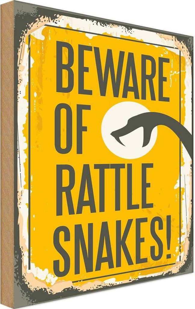 vianmo Holzschild 40x30 cm Schlange of rattle snakes Spruch Zitat