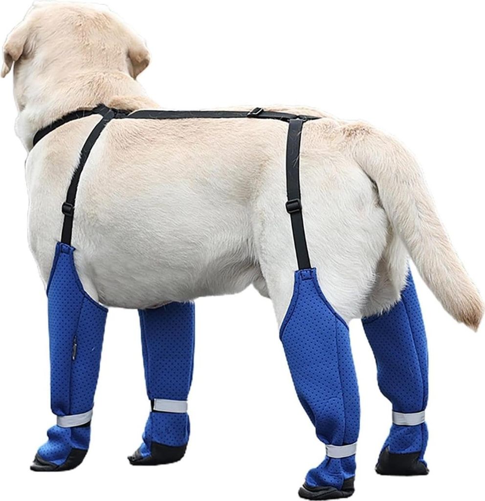 INF Wasserdichte & Warme Hundeschuhe mit Anti-Rutsch-Gurten für Sauberkeit L