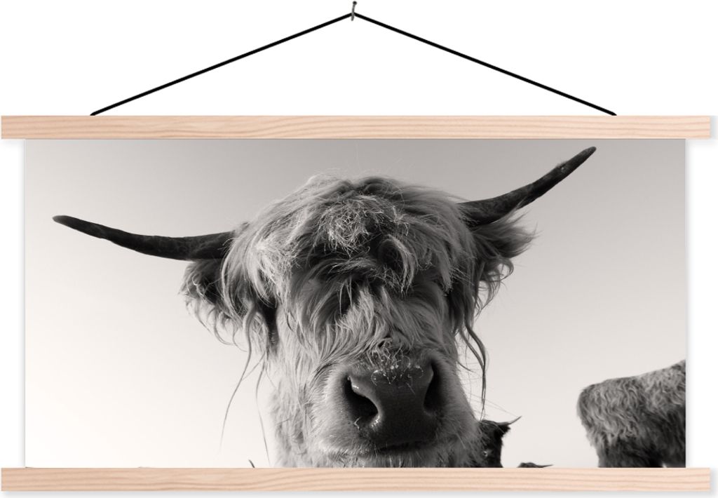 MuchoWow® Textilposter Schottisches Hochlandrind - Schwarz Produktbild 