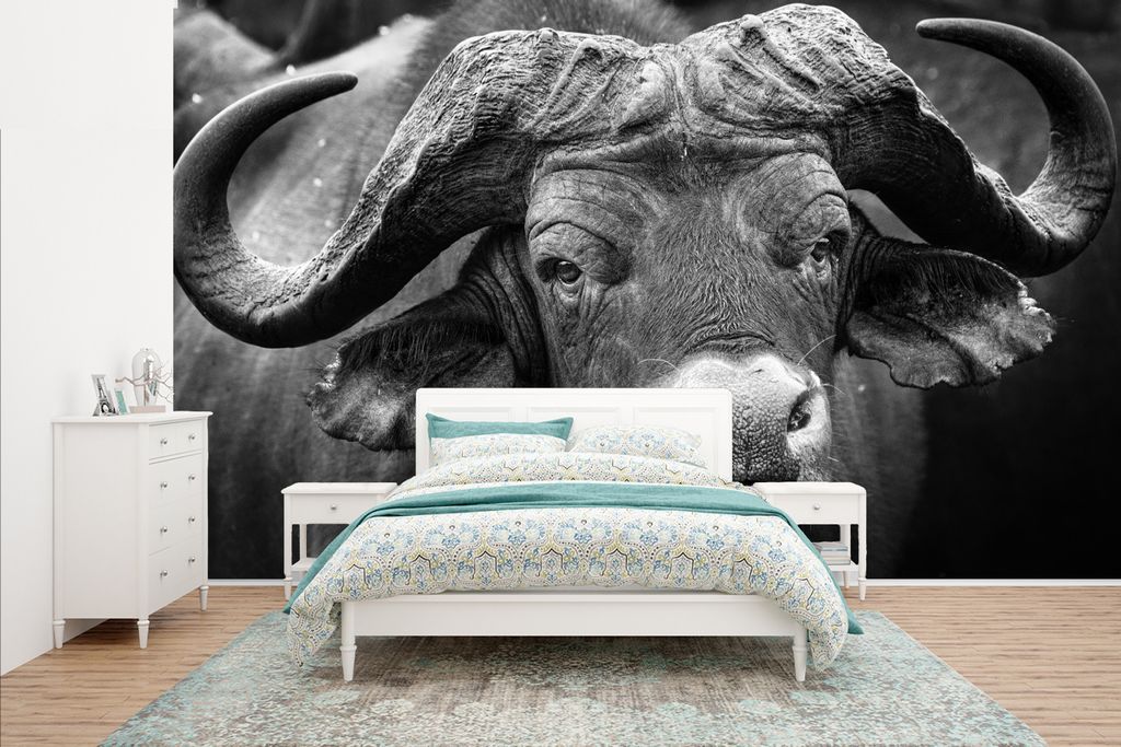 MuchoWow Fototapete für Wohnzimmer oder Schlafzimmer Wandtapete Vinyl Motivtapete Tierprofil Kaffernbüffel in Schwarz und Weiß - 435x260 cm - ...