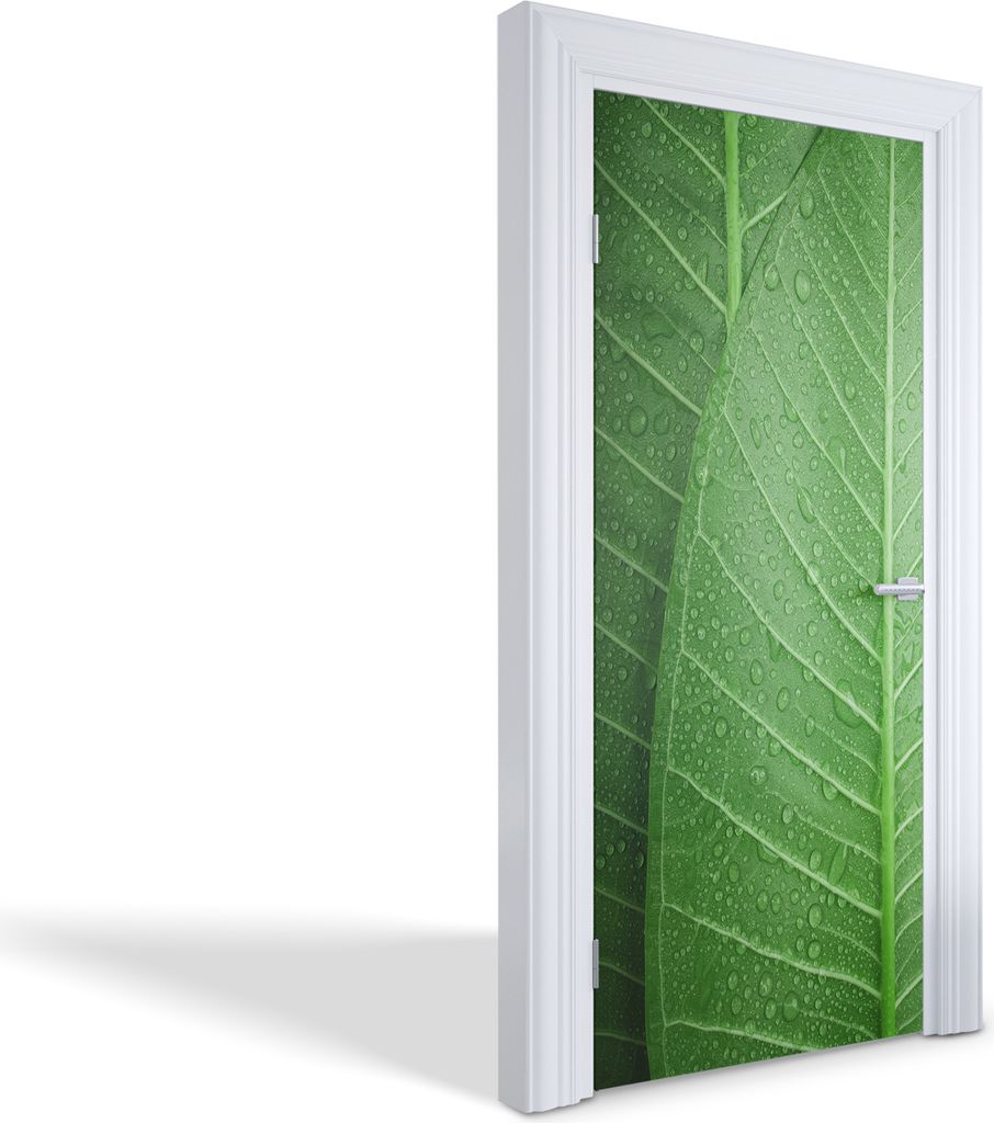 Türfolien Design Selbstklebende Wandsticker Türtapeten - Grüne Blätter mit Tropfen - 95 x 205 cm