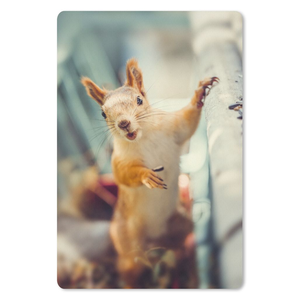 MuchoWow® Mauspad Mousepad Eichhörnchen - Tier - Herbst - Produktbild 
