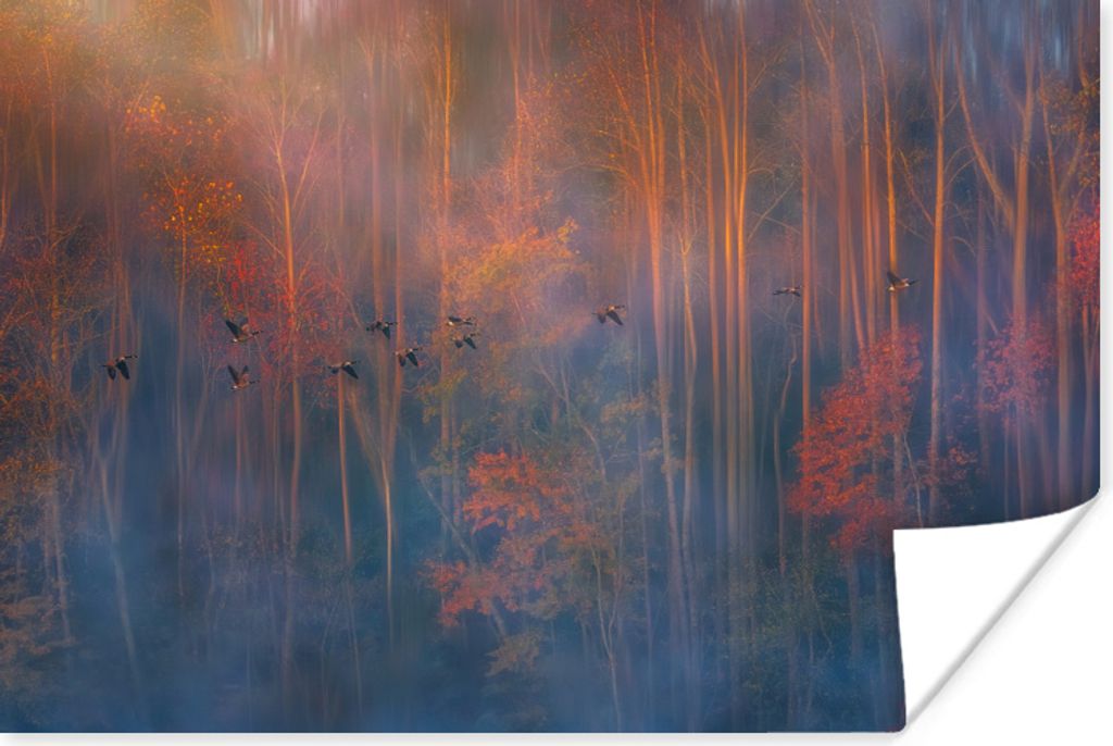 MuchoWow Poster Herbst - Wald - Nebel 30x20 cm - Plakate - Print