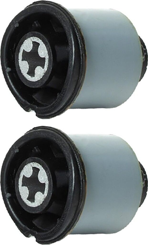 RIDEX 1080M0215 Achslager für RENAULT Scénic III (JZ0/1) Hinten