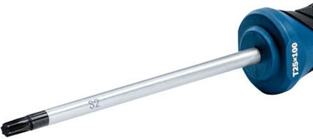 Schraubendreher, TX25 x 100