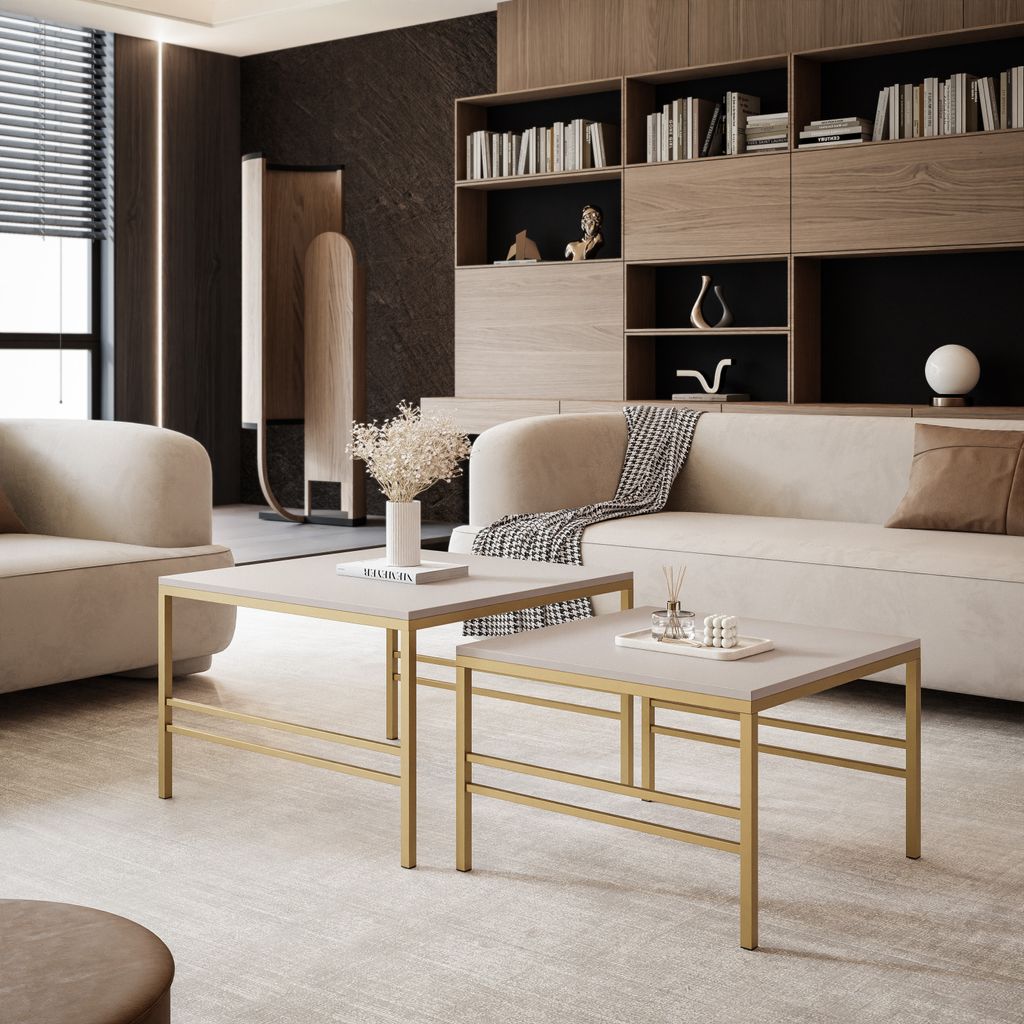 A modern living room with two coffee tables, a sofa, and a bookshelf.