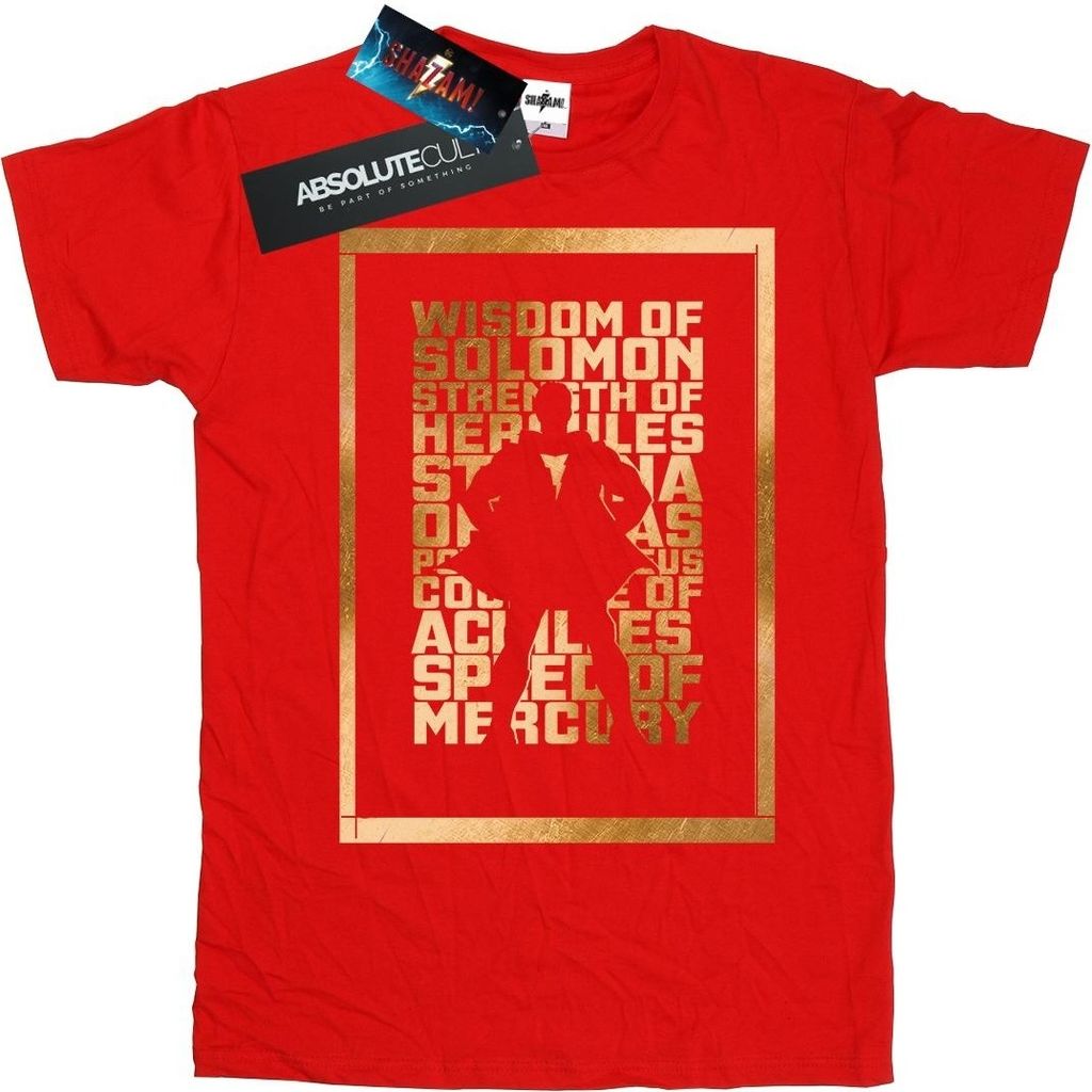 DC Comics - T-Shirt für Herren BI45292 (S) (Rot)