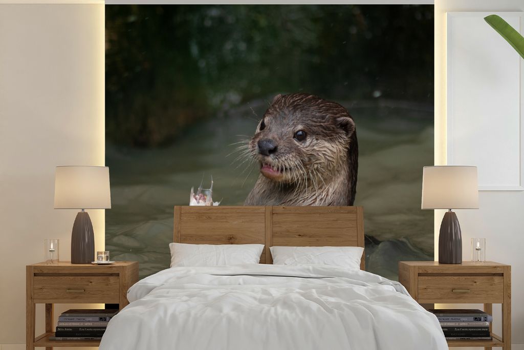 MuchoWow Fototapete für Wohnzimmer oder Schlafzimmer Wandtapete Vinyl Motivtapete Otter mit Futter im Wasser - 280x280 cm - Hintergrundbild